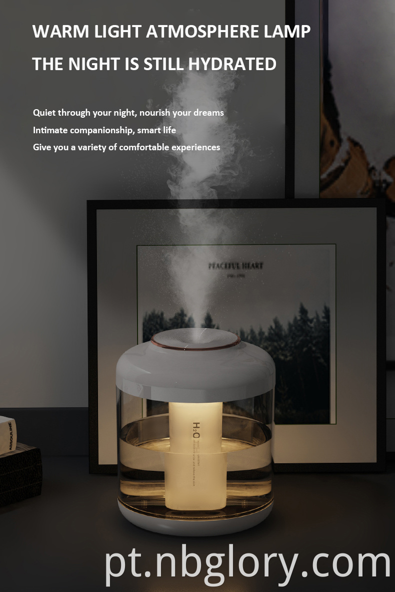 humidifier diffuser